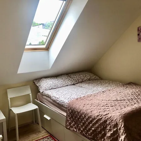 Guest house Maria 3*
